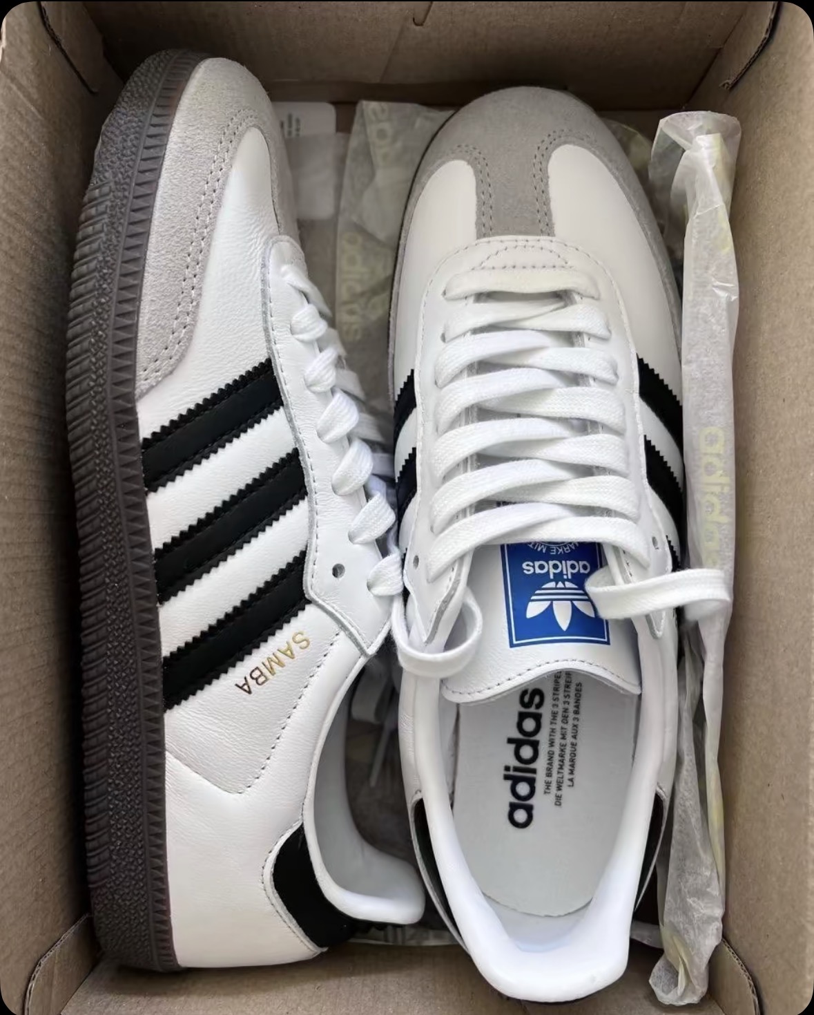Samba — White / Black